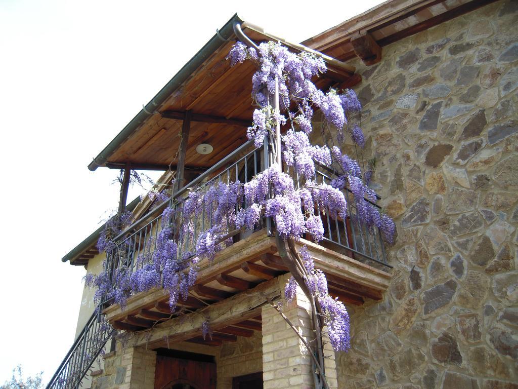 Casa Vacanze Porta Vecchia Montalcino Exterior foto